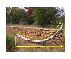 Tronco de Sabina